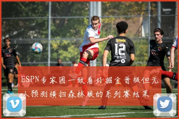 ESPN专家团一致看好掘金晋级但无人预测横扫森林狼的系列赛结果