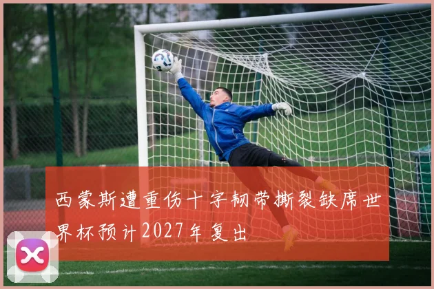 西蒙斯遭重伤十字韧带撕裂缺席世界杯预计2027年复出