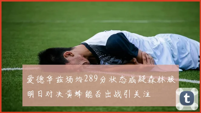 爱德华兹场均289分状态成疑森林狼明日对决黄蜂能否出战引关注